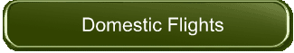 Domestic Flights